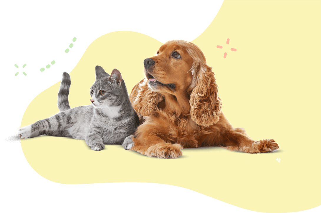 https://www.fursurecleanup.com/wp-content/uploads/2025/06/hero_image_11.png